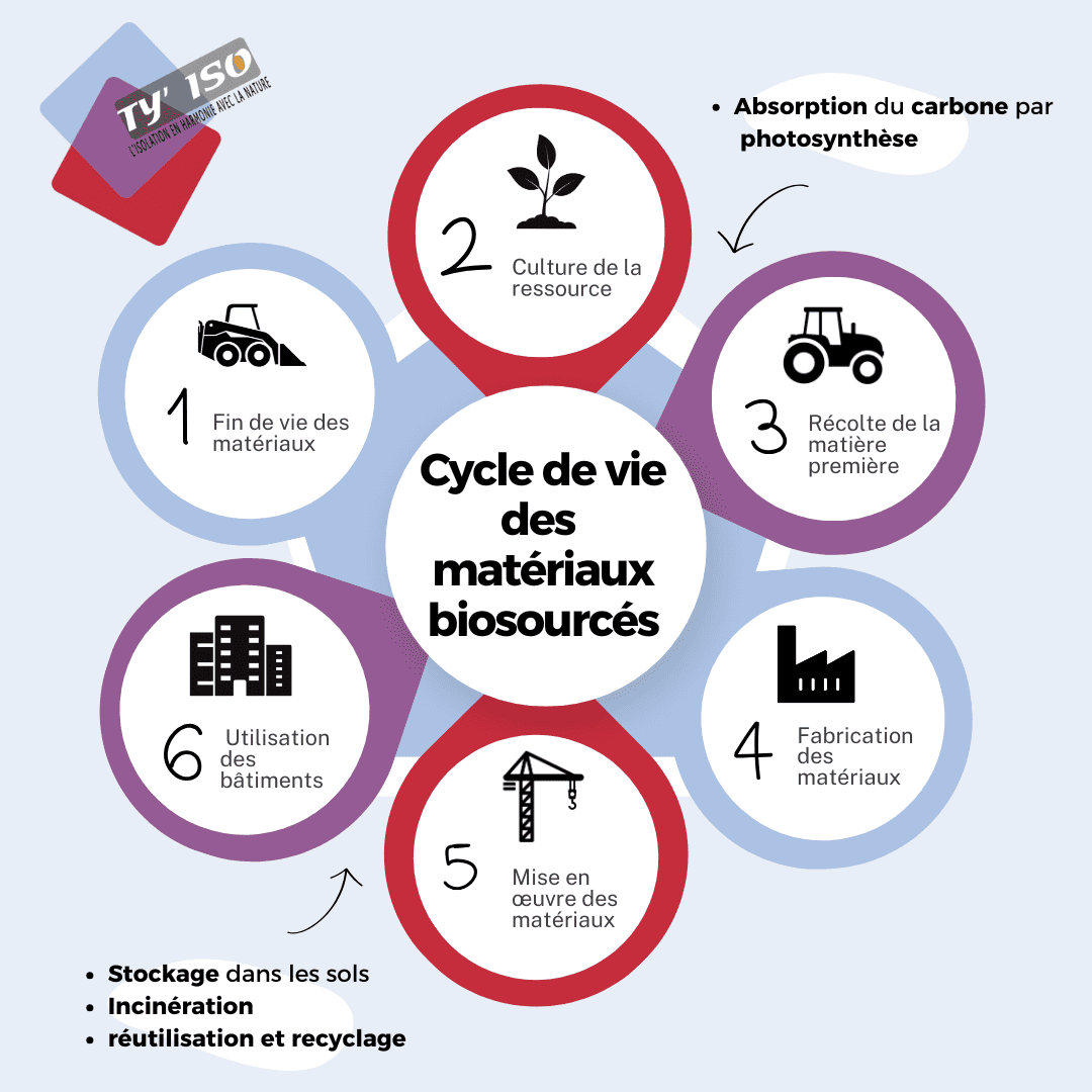 Cycle de vie des matériaux biosourcés
