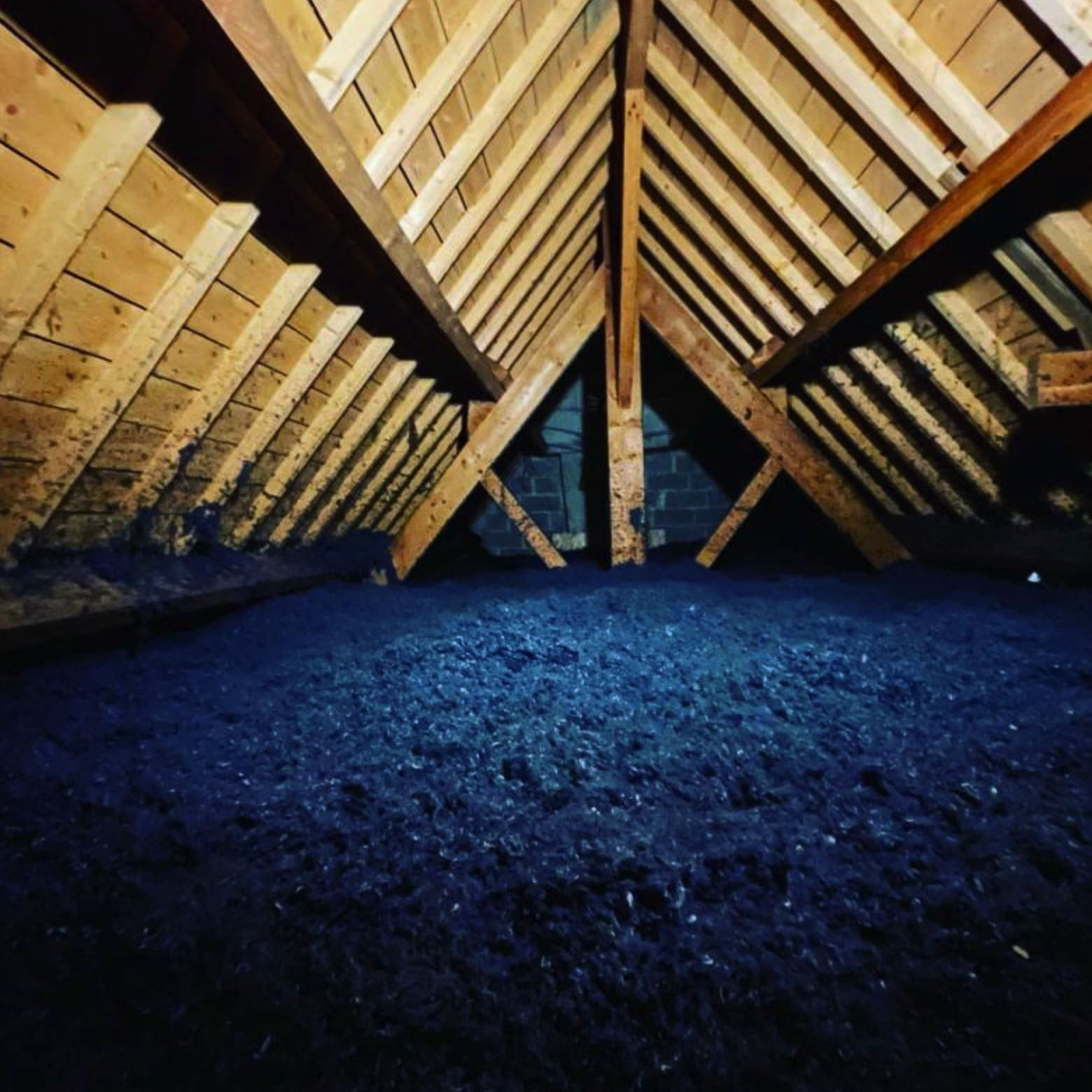 Capture decran 2025 09 24 a 8.28.05 AM